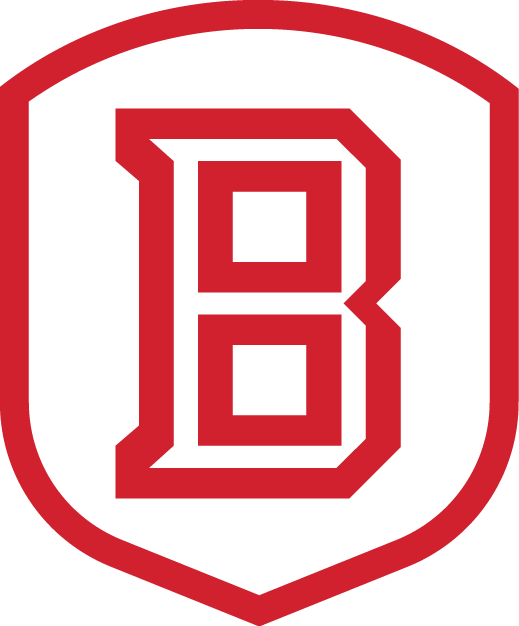 Bradley Braves 2012-Pres Secondary Logo v2 diy iron on heat transfer